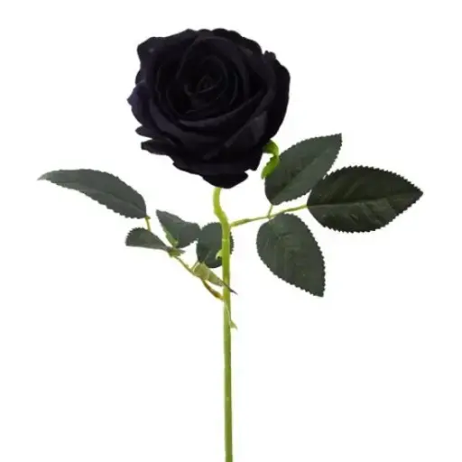 [A-028034] Roos Open Zwart Zijdenbloem 52 cm per stuk