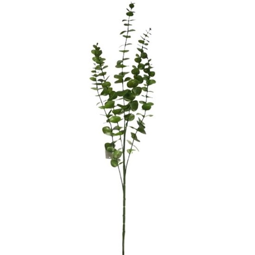 [A-028018] Eucalyptus tak Groen 88 cm per stuk