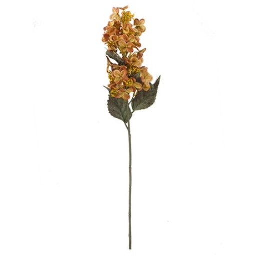 [A-028010] Pluim Hortensia Oranje Zijdenbloem 72 cm per stuk
