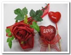 foam roos Elegant 5 cm. Rood / stuk foam roos Eleg