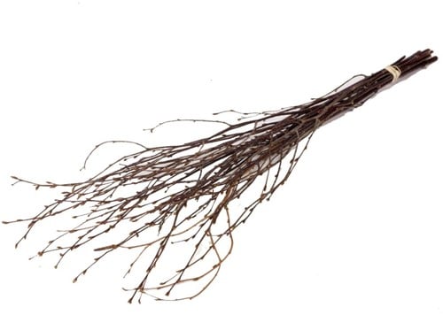 Actie Berkentakken Naturel 70 cm - Bundel van 10 Stuks Berkentakken