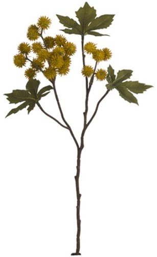 Ricinus Castor Oil Spray Dry Colour Mosterd Okergeel 43 cm / st – Zijdebloem Zijdebloem