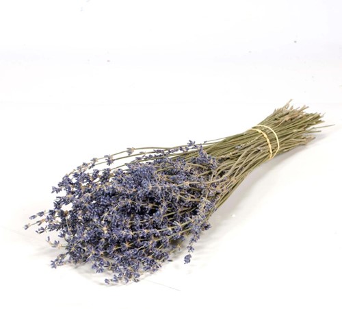 Lavendel Natural Dark Blue bundel 100gr Lavendel Natural Darkblue