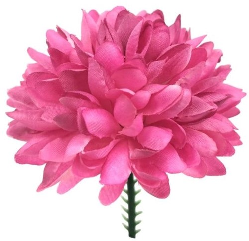 Chrysant Pick – Dia 7 cm – Premium Chrysanthemum Ball – Fuchsia – Bloemen op Steker voor Corsage / stuk bloemen op steker voor oa corsage