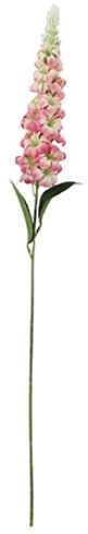 Delphinium Roze Ivory 72 cm / st – Zijdebloem zijdebloem bloomon