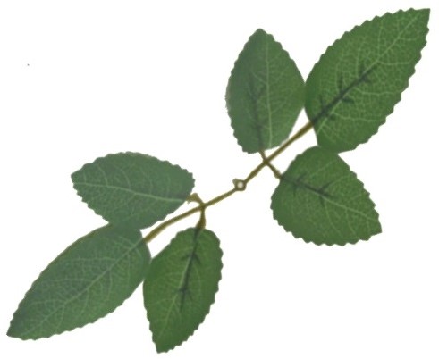 Rozenbladeren Groen, 17cm  zak +/- 120st zelf bloemen maken