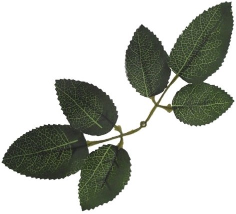 Rozenbladeren donkergroen, 17cm  zak +/- 120st zelf bloemen maken