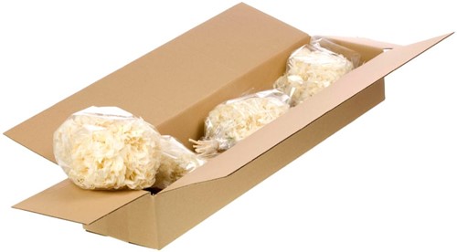 Hydrangea preserved SB bleached white  Gepreserveerde Hortensia