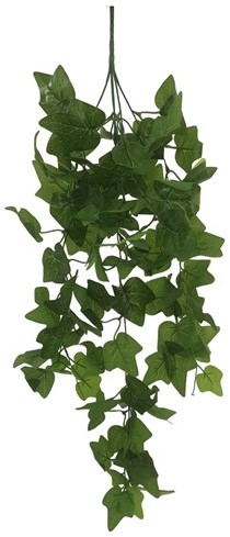 Hanger vuller Hedera groene bladeren 73cm Groene hangplanten
