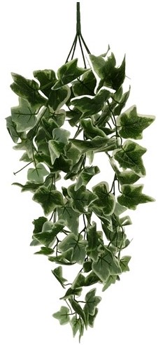 Hanger vuller Hedera bont bladeren 73cm Groene hangplanten