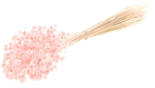 Hill flower 100gr pink misty  fijne droogbloemetjes