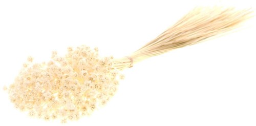 Hill flower 100gr bleached white fijne droogbloemetjes