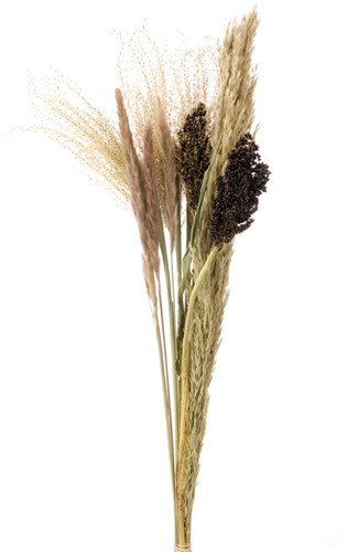 Droogbloemenboeket Grass mix bouquet L natural Droogbloemenpakket in krafthoes