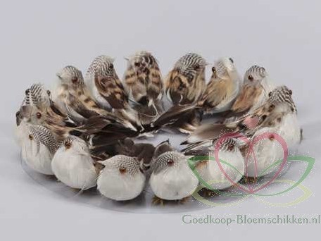 Vogeltjes LICHTBruin natuurlijk 16 stuks van 9 cm. Vogeltjes naturel