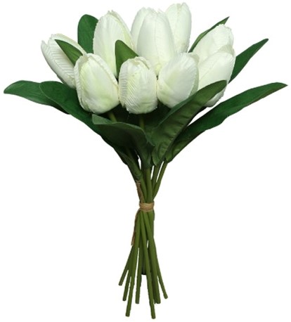 Tulpen Tulpen Bundel 12 stuks. Ivory Wit Prachtige tulpen