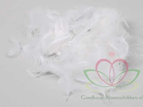 Veren Veertjes Wit grote DOOS 30 gram Veren Wit