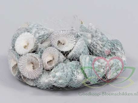 Trochus Stellatus Pyramis Born schelpen +/- 350 gram