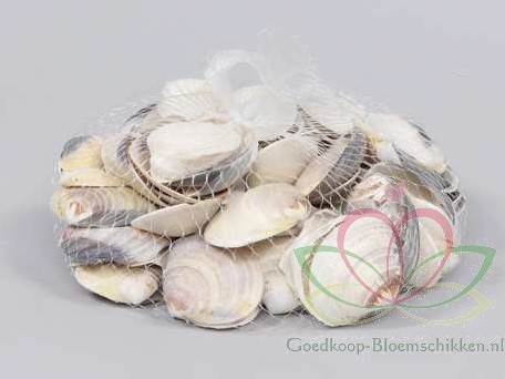 Dosinia Discus schelpen +/- 350 gram