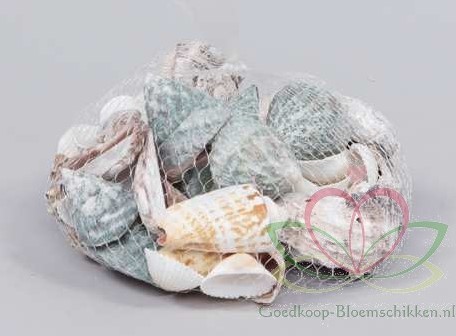 Schelpenmix Large net +/- 300 gram. Schelpen Schelpenmix Large net +/-