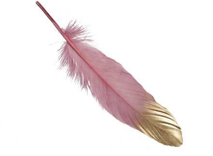 Penveren Roze/ Goud 18-20cm Pak+/-24st Veren Gold dip