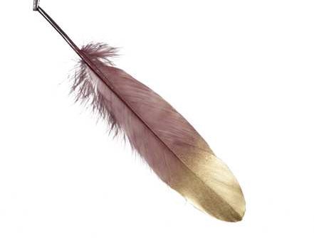 Penveren Burgundy / Goud 18-20cm Pak+/-24st Veren Gold dip