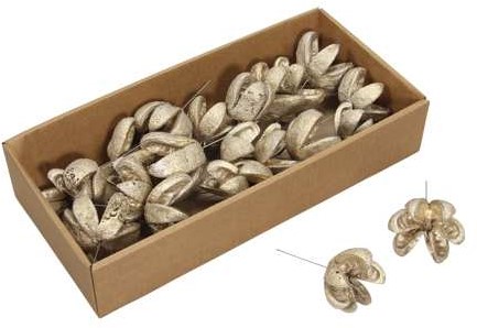 Kartoons nut Platinum op draad +/- 20 stuks Drooggoed