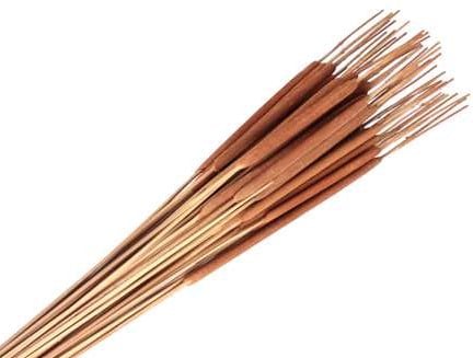 Typha Sigaren natural bundel +/- 50 st RietSigaar Sigaren 65-75cm