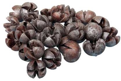 Chillery Eucalyptus Bell Silver Wash 500gr Zilver natuurlijke decoraties