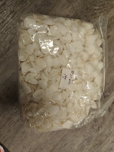 White Cay Cay – 1 kg – Witte schelpen 1 kilo