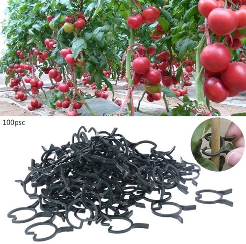 Orchidee planten clip zwart 0, 80 x 50 mm 50 stuks 3.7cmx3.2cm