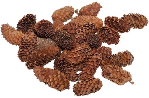 Pinecone Mini Spruce naturel 180gr mini dennenappeltjes