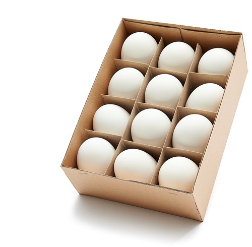 Ganzeneieren 8 cm XL Doos Plus 12 Stuks Leeggeblazen voor Decoratie Leeggeblazen voor decoratie