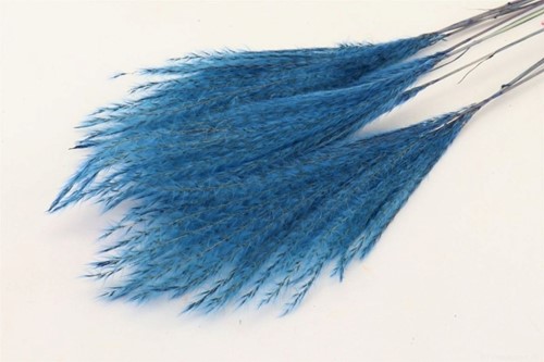 Fluffy Grass Blauw 10st Pluimen