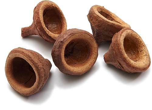 Chapeuzinho 5-6 cm - Zak van 10 Stuks - Leuk Voorjaarsartikel leuk voorjaars artikel
