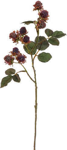 Bramentak Mulberry Spray 54cm - Purple - Van het merk: PURE, Zijde Merk: PURE   Zijde 