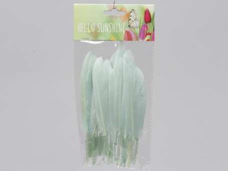 Actie Penveren +/- 14cm. 24 stuks Groen  Veren veertjes