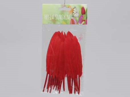 Actie Penveren +/- 14cm. 24 stuks Rood Veren veertjes