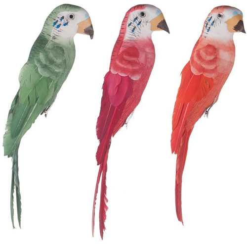 Papegaaitjes PER 3 stuks. 3 verschillende pakken! Papegaaitjes