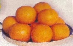 'Gold Apple of Pomme d''Or' 'Gold Apple of Pomme d''O