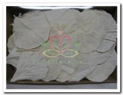 Cobra blad gebleekt doos   +/- 100 Cobra blad gebl