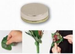 overdrijving een vergoeding Trechter webspin Decoflorall.nl - Bloemschik- en Hobbymaterialen