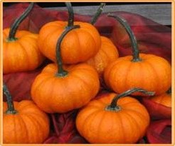 Lil Orangemon F1   Sam Orange F1 Lil Orangemon F1
