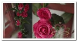 Rozen zijde bloemen guirlande Fuchsia nr 005 Rozen zijde bl