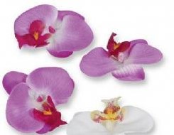Orchidee hoofd Purple 8. 5 cm. Prijs voor pak 8 stuk Orchidee hoofd