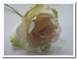 Actie foamrose Sophie Cremepeach-Groen 14 cm.  van E 19.79 voor E 9.99 / DOOS12 foamrose Sophie