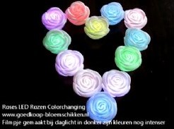 Roos LED colorchanging / stuk bloemschikken en decoratie