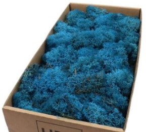 Rendiermos Ijslandsmos Blauw +/- 500 gram Rendiermos Ijslandsmos +/