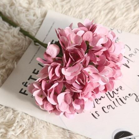Hortensia 35cm. SINGLE HYDRANGEA  OUDROZE,  PER STUK Hortensia OUD ROZE prachtige kleur