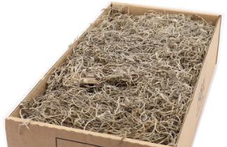 Tillandsia naturel gepres Forestmos Junglemos 350 Tillandsia