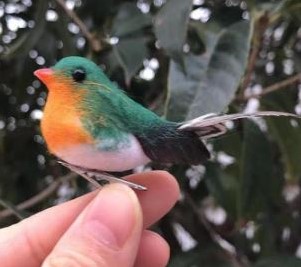 12 Vogeltjes Robin MET CLIP pak12 mooie vogeltjes